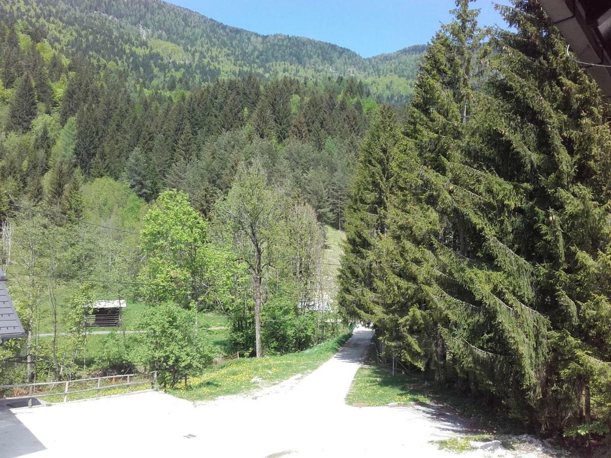 Klass 203 Краньска Гора Экстерьер фото